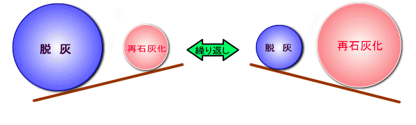 �V�[�\�[�P